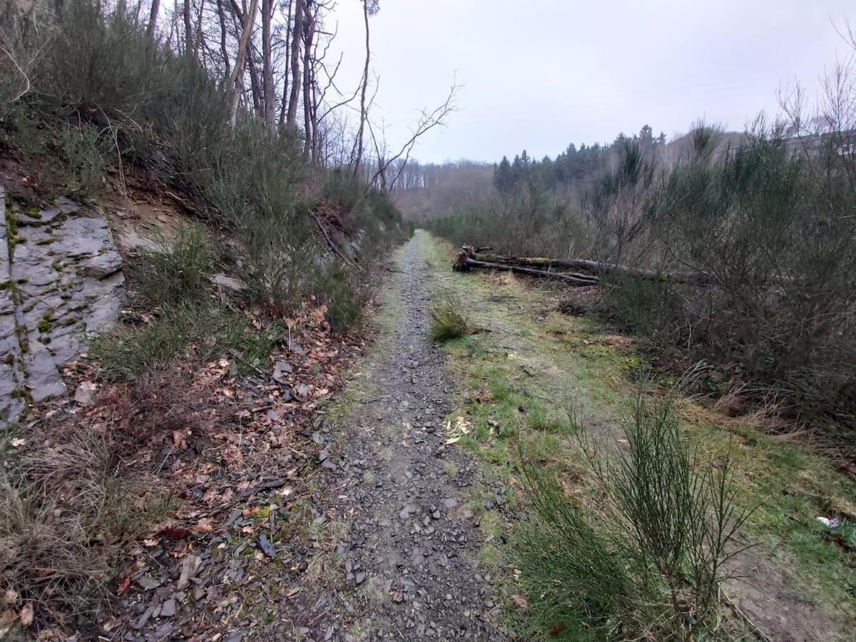 Chalet Ardennais 240 - La Boverie - Rendeux Zewnętrze zdjęcie